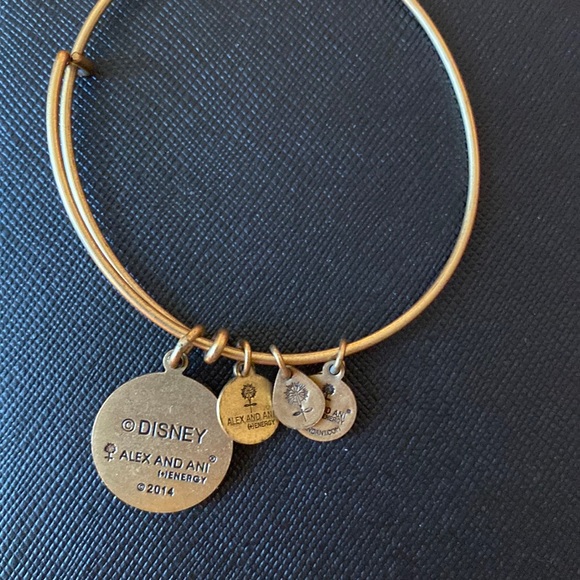 Sleeping Beauty / Princess Aurora 2014 Bangle - Picture 2 of 2
